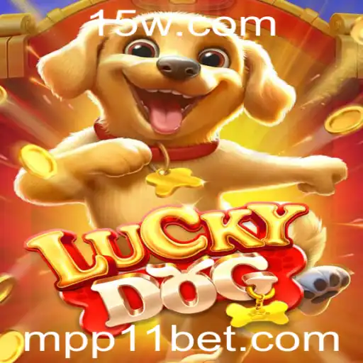 pp11 bet Casino App